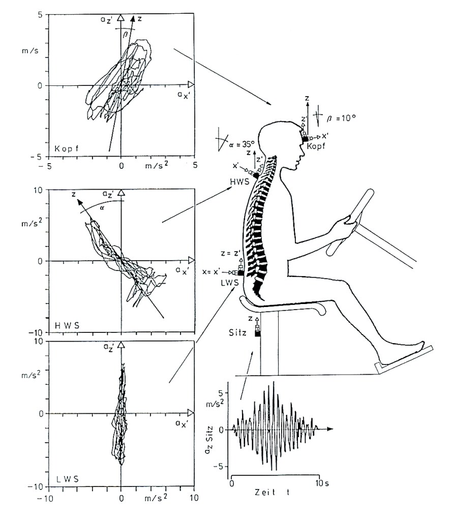 Effect of pure vertical impact on the human body. Measured with artificial excitation and accelerometers applied to the human body. Michael Haverkamp, 1990.