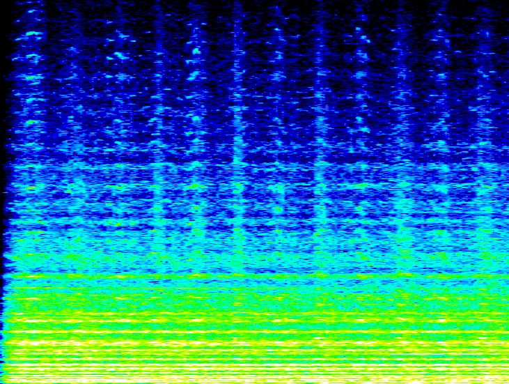 Michael Haverkamp: Computer graphics referring to the music of “Einzug der Götter in Walhalla” in the music drama "Das Rheingold" by Richard Wagner, arising as a result of the quick tonal sequence of the violinists. Vertical axis: frequency; horizontal axis: time; color scale: sound pressure level, 2007